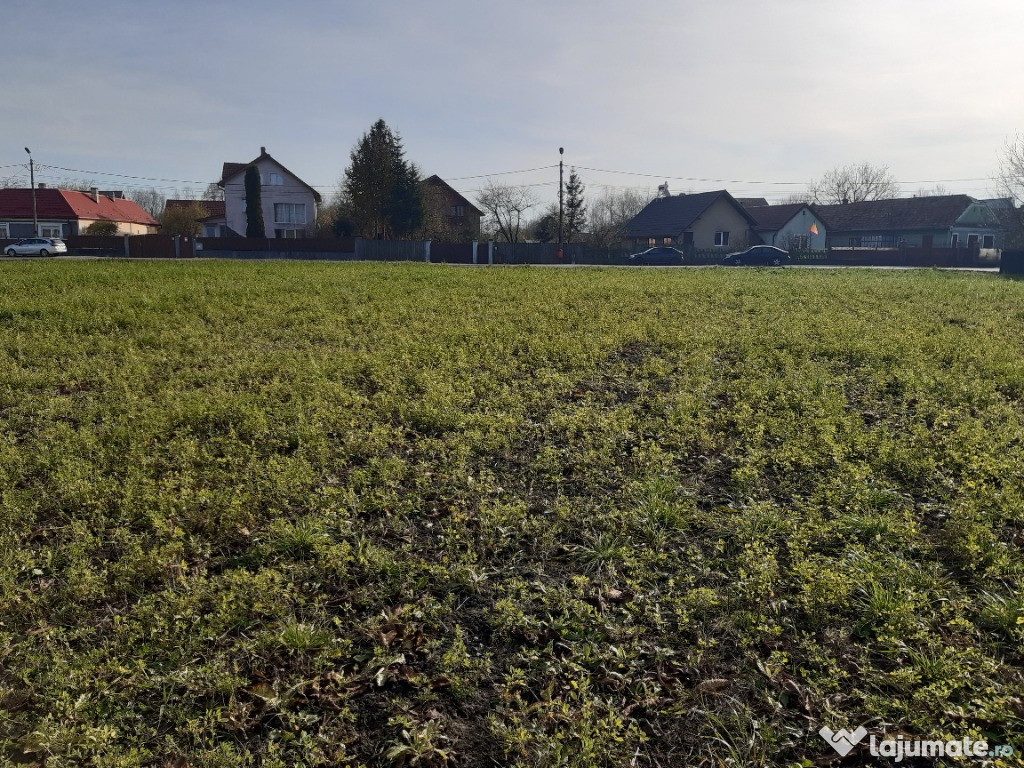 Vanzare teren intravilan construibil Lunca Calnicului