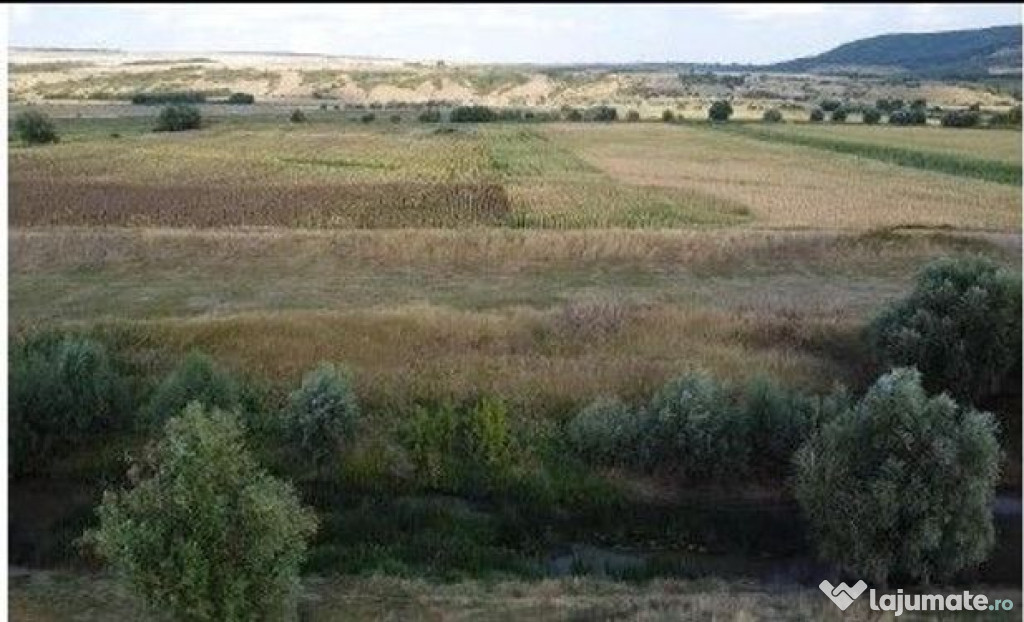 Teren Extravilan Banca, ID: R2805492