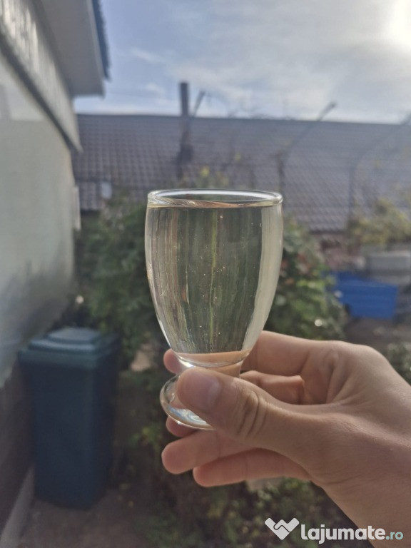 Vin alb sec de țară-fetească și otonel