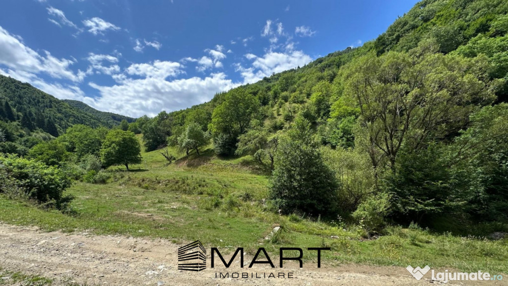 Teren intravilan 8500mp Rasinari