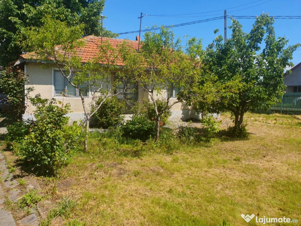 Casa batraneasca , foisor si teren de vanzare