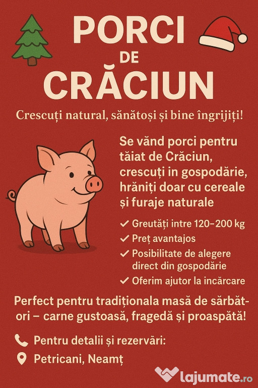 Porci crescuți cu cereale și lucernă