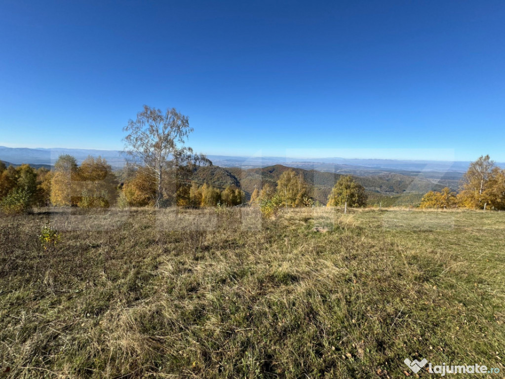 Teren extravilan 6.360 mp in Târsa