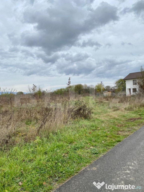 Teren intravilan, Aleea Dumbrava