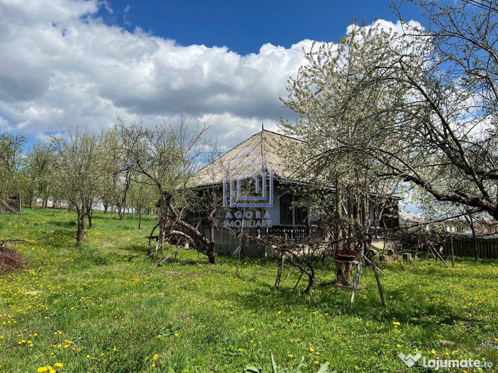 48 ari teren , cu casa batraneasca, Antoceni, Forasti, Sucea