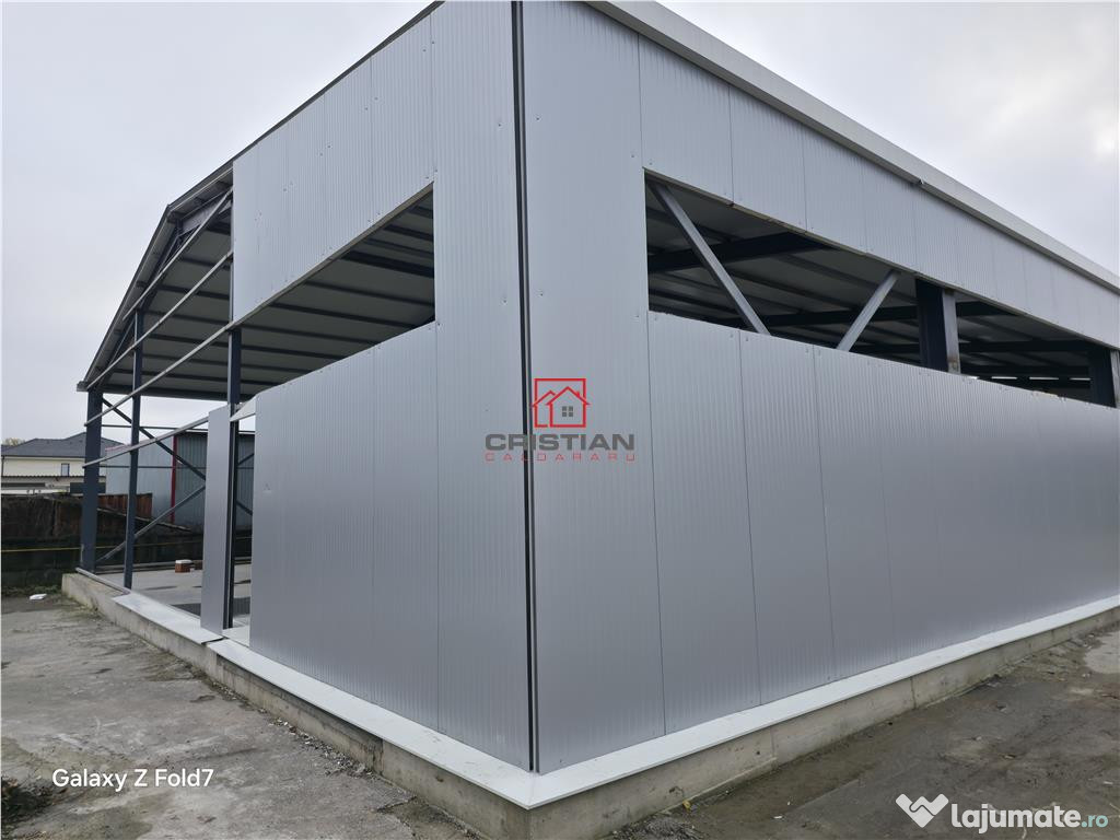 Depozit/hala/spatiu industrial Pantelimon - Comuna Pantelim