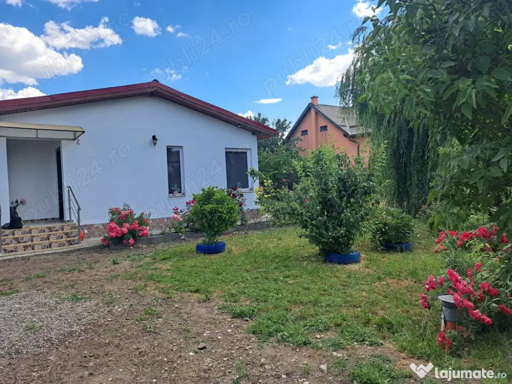 Casuta singur in curte 864 mp Bod, Brasov