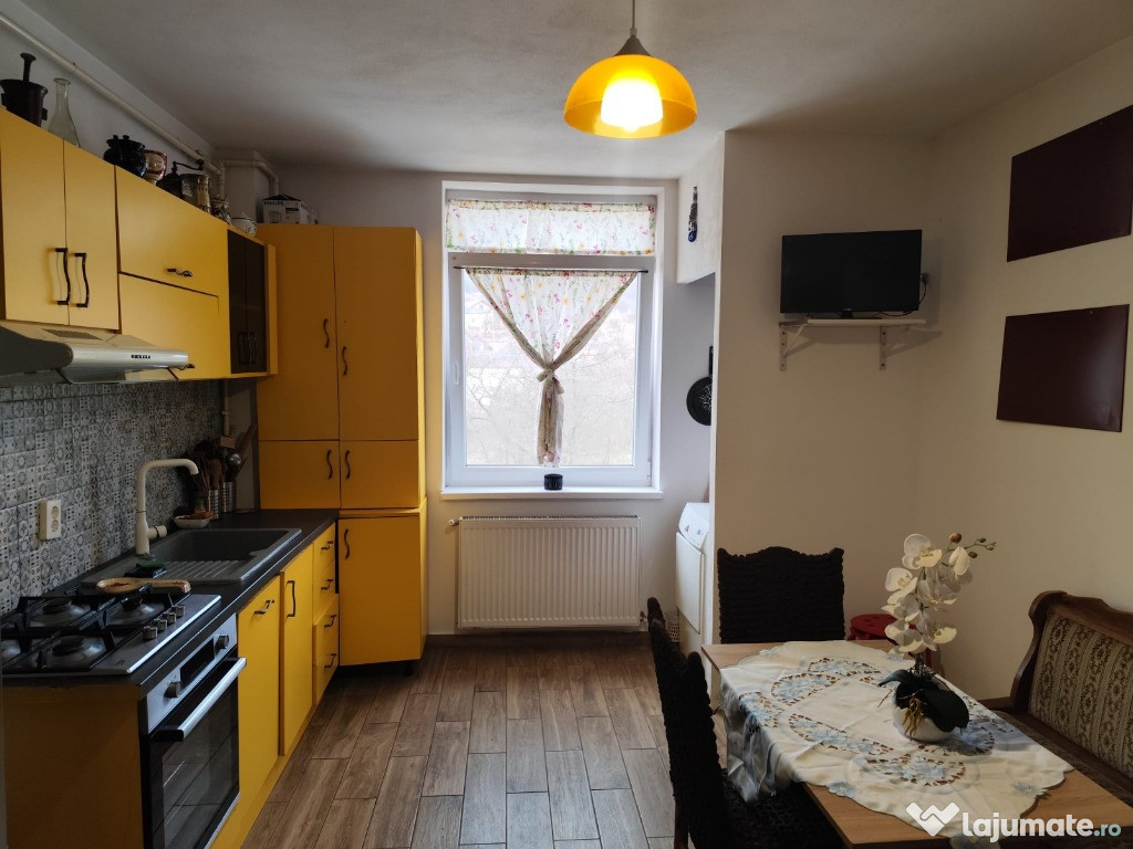 Apartament 2 camere, zona pitoreasca, Ferneziu