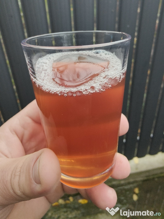 Vin alb nohan feteasca riesling