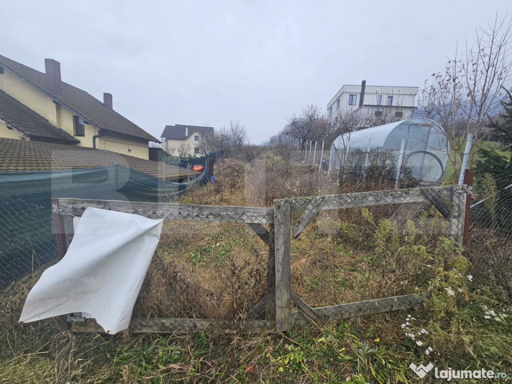 Teren de vanzare Viisoara