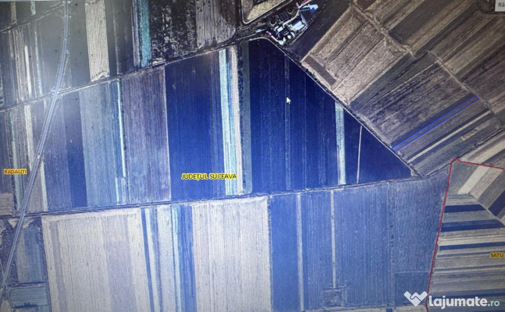 Teren extravilan , 5000mp, Radauti