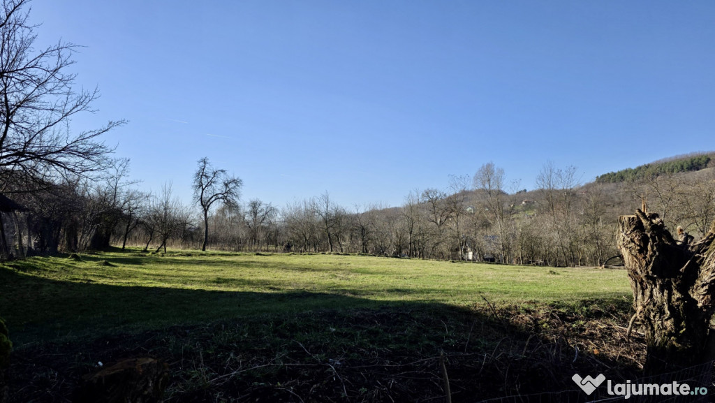 Teren 4.549 mp intravilan, la doar 8 minute de Vălenii de M