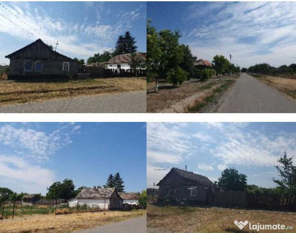 Cota de 1/2 din casa si teren Loc. Beba Veche jud. Timis,