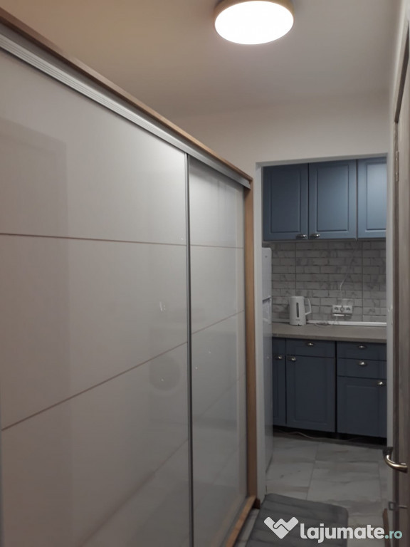 Romana victoriei stirbei voda