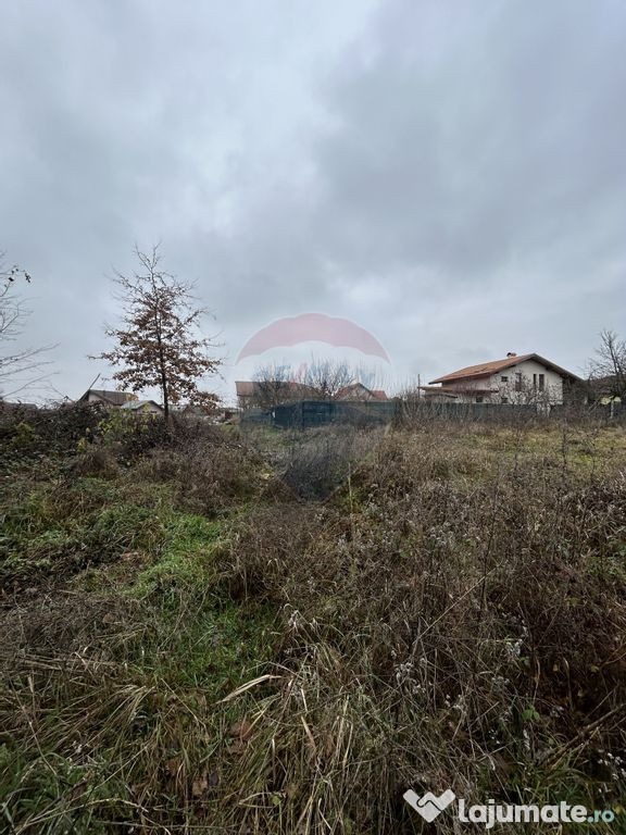 Teren 1,200mp si 400m2 cota drum Satu Nou de Jos / Strada...