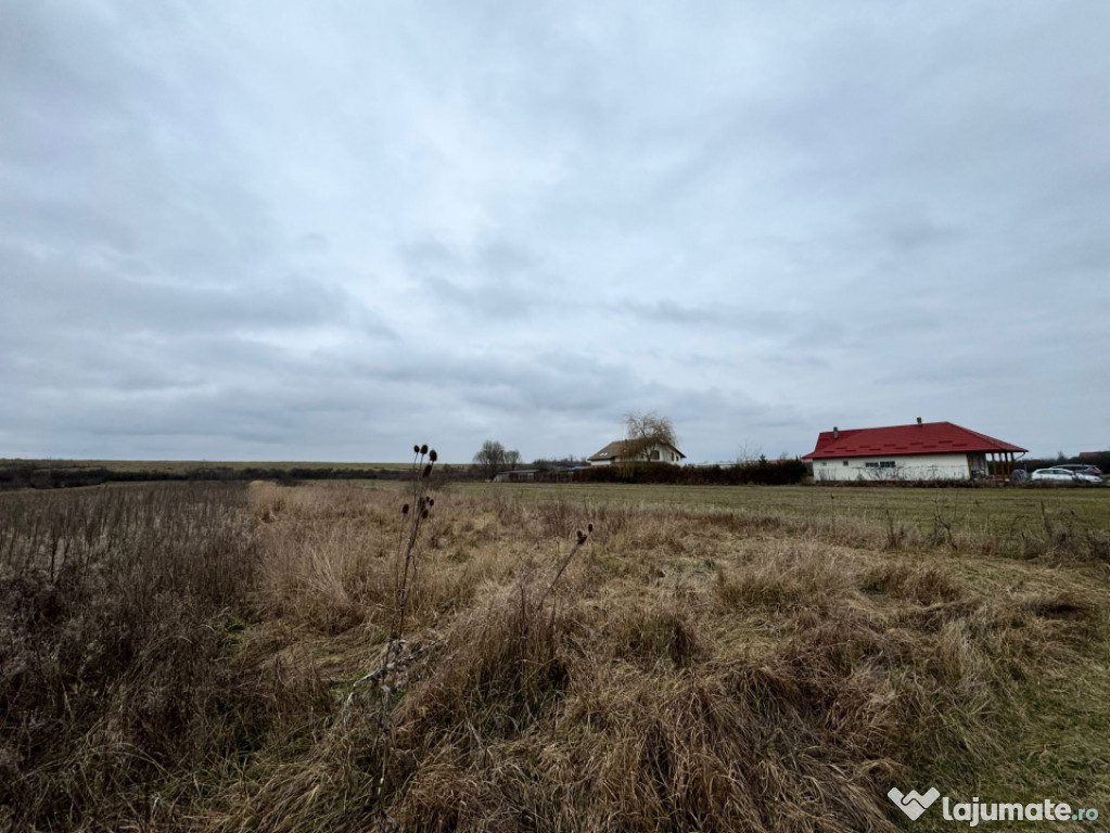 Teren 28 ari, drum principal