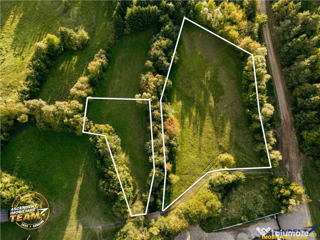 FILM! Teren extravilan, Ojdula, 4.800 mp, zona pitoreasca