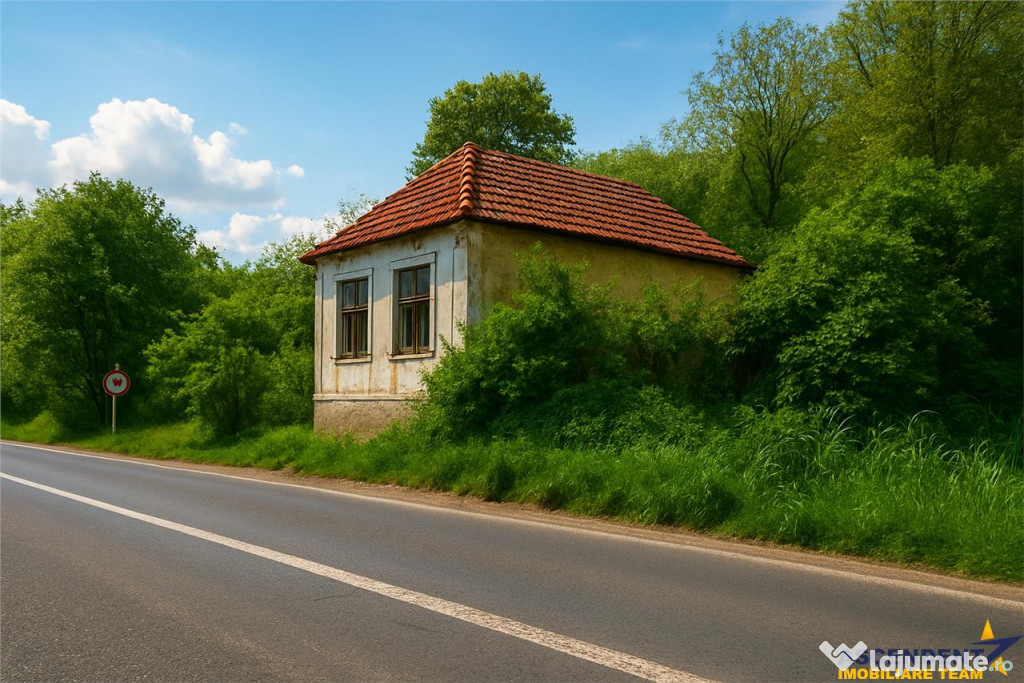 Domeniu verde autentic, 5.000mp, front la DJ, Valcele, Bra