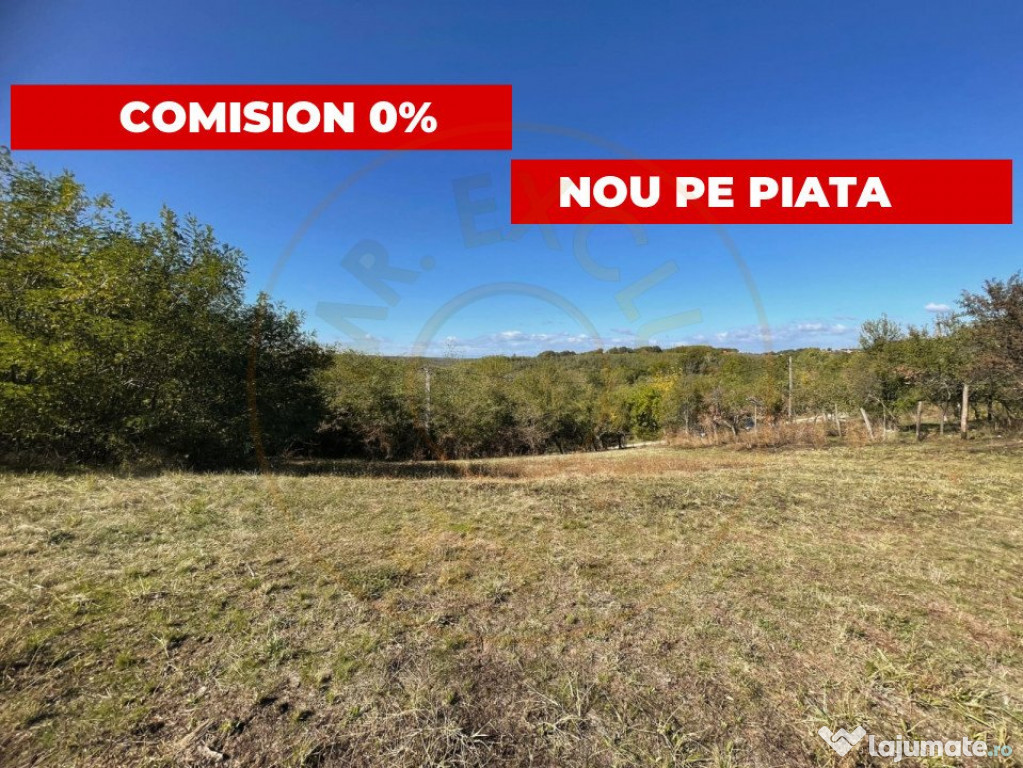 Teren Babana 5000mp intravilan