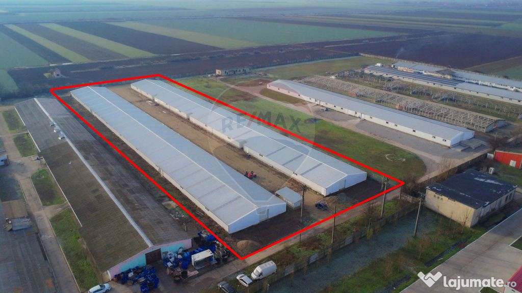 De închiriat -2 hale industriale, 5.050 mp utili, Palota...