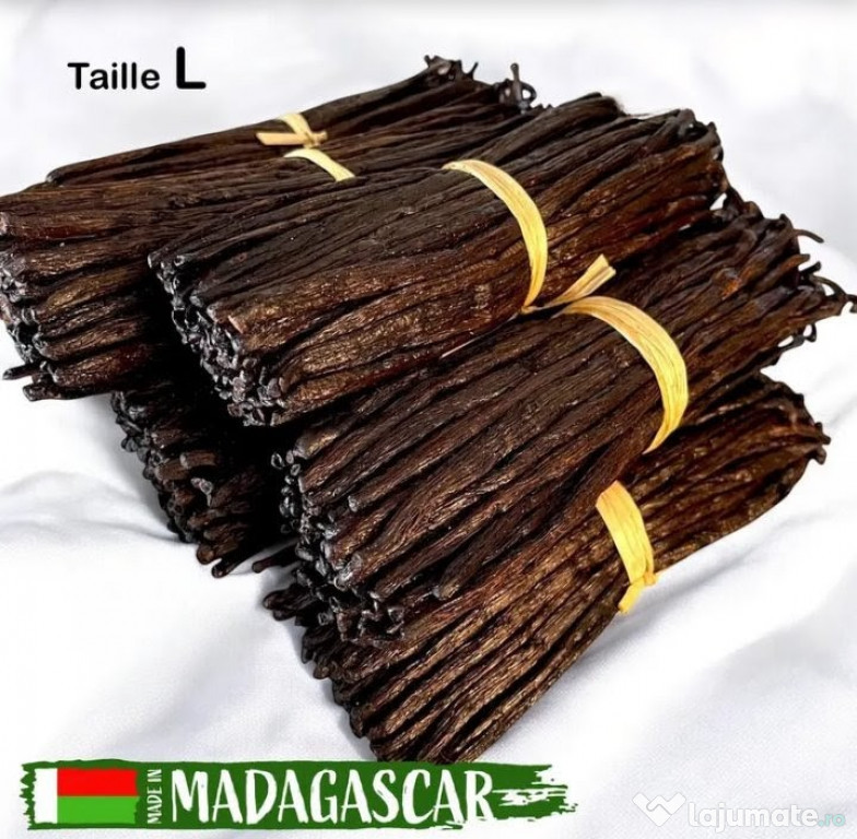 50 păstăi vanilie Bourbon Madagascar L 14-16cm