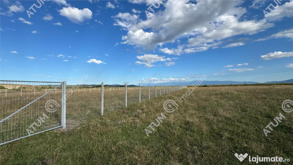 Teren 4200 mp situat in extravilanul zona Calea Surii Mici S