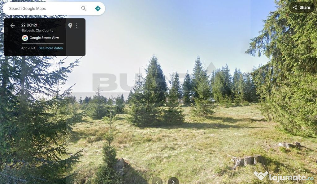 Teren intravilan, 1400 mp, Balcesti, Belis