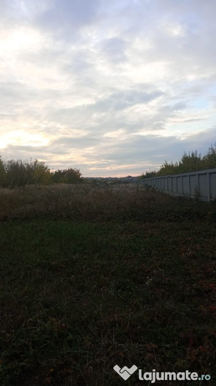 Teren intravilan Paleu, 2200 mp