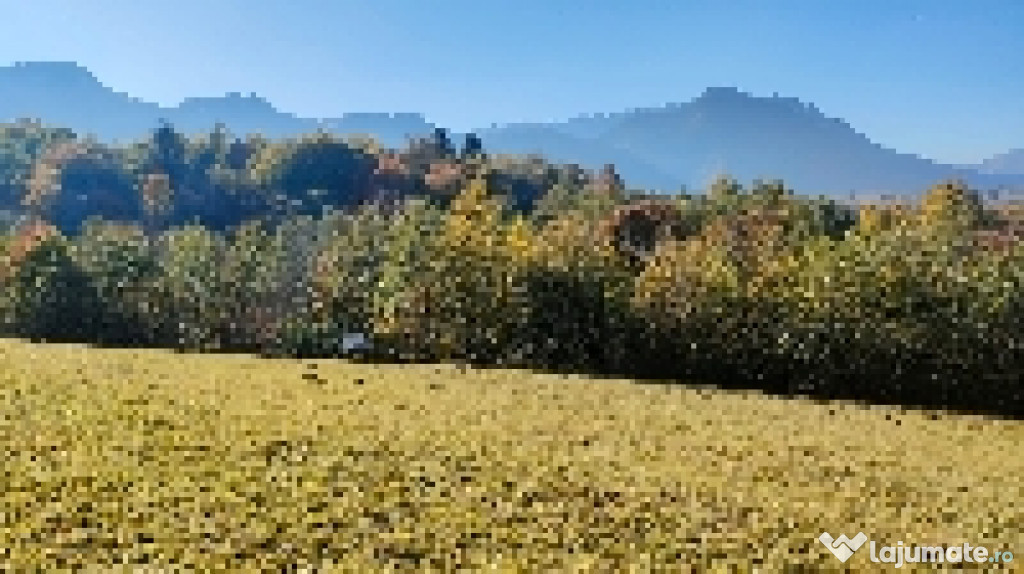 Teren Bran Tohanita!