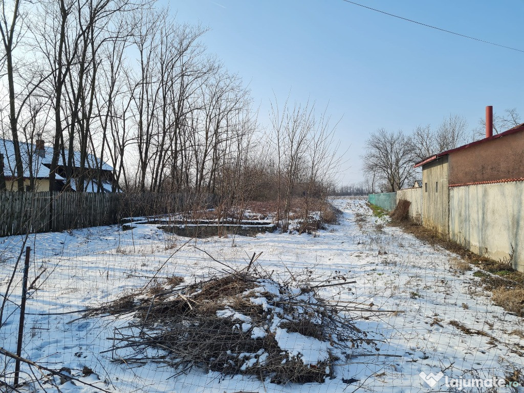 Teren intravilan 4214 mp, maruntisu, Costestii din vale
