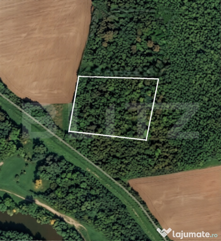 Parcelă 10.000 mp la liziera pădurii, Șag – front strad