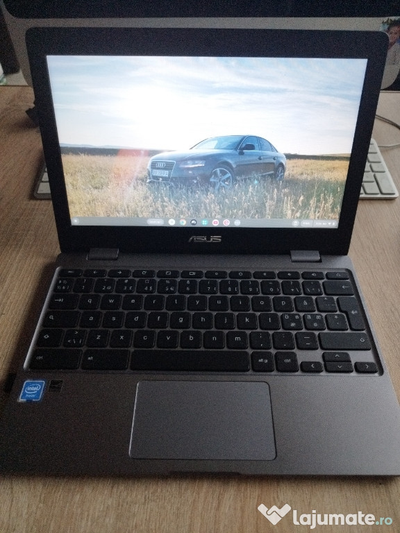 ASUS Chromebook C223NA