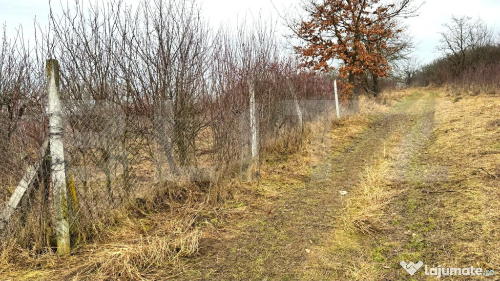 TEREN EXTRAVILAN IN ZONA VALEA BUDACULUI