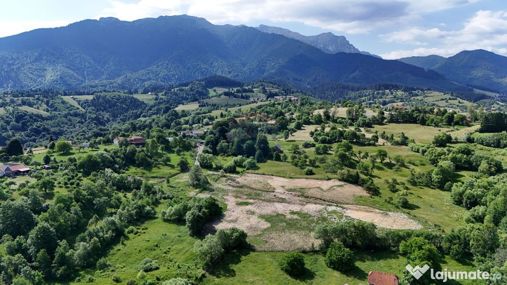 Comision 0% | Teren intravilan 1900 mp| Sohodol | Priveli...