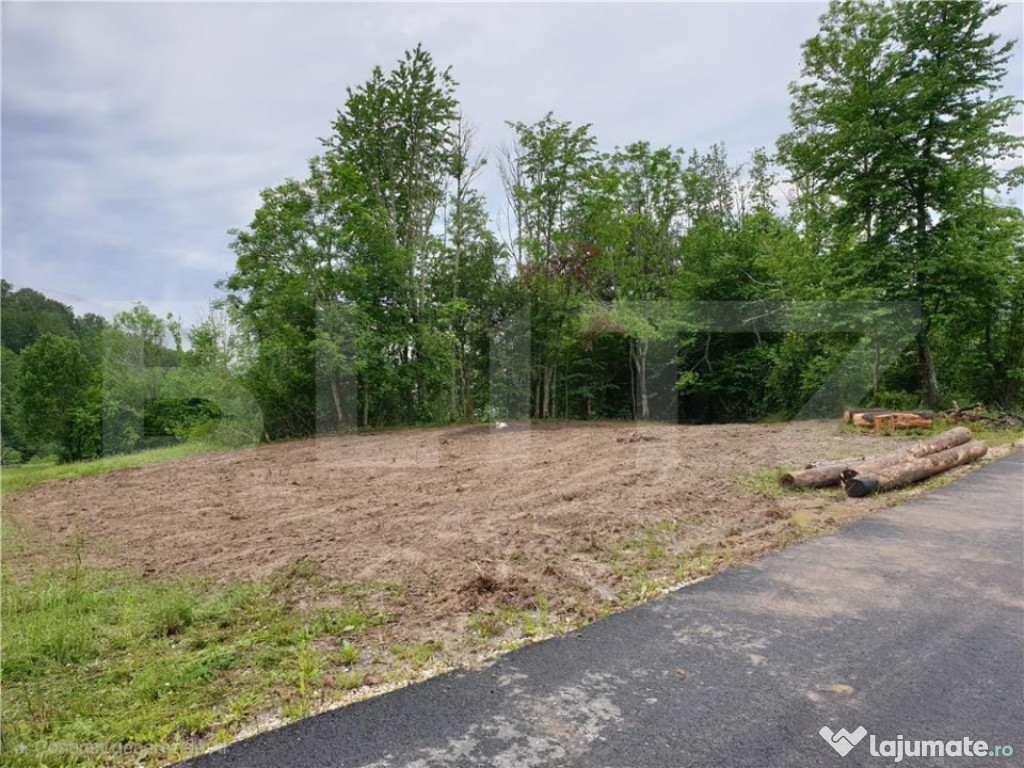 Teren intravilan 923 mp, Bucium, Alba
