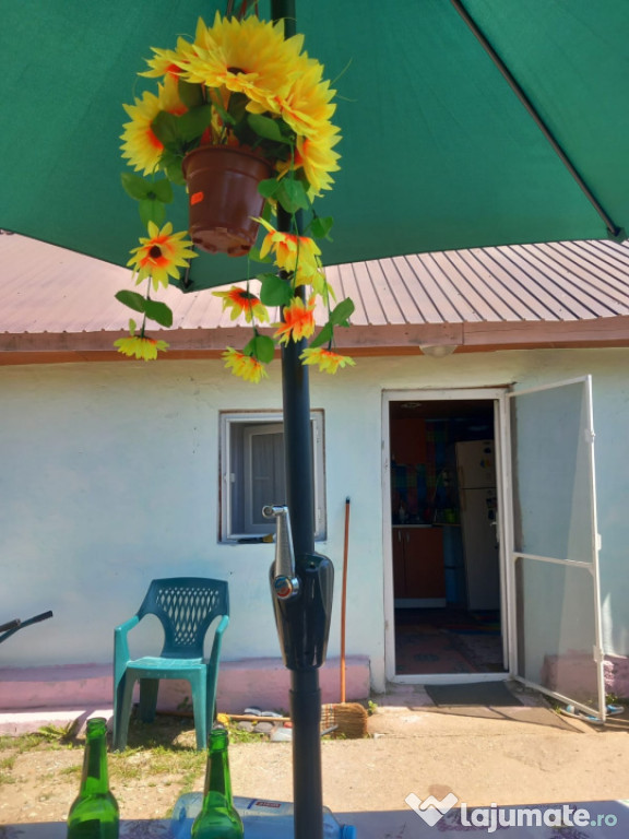 Casa de vanzare in Lacrita Mare, la 18 km de Craiova, strada