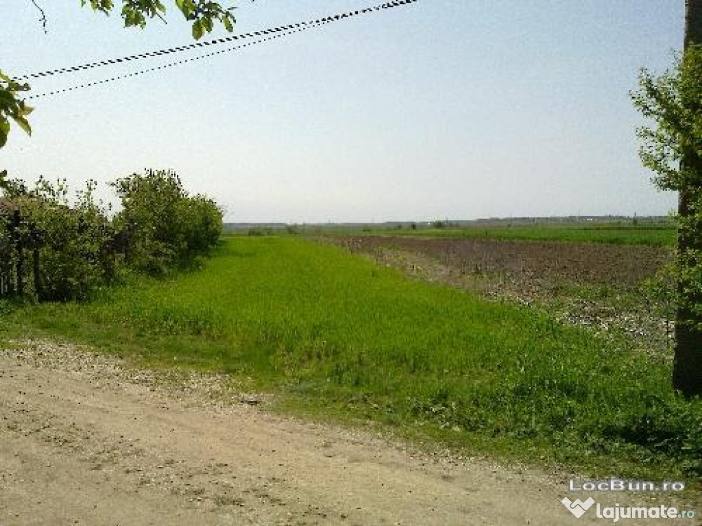 Teren intravilan Sirna 2476mp