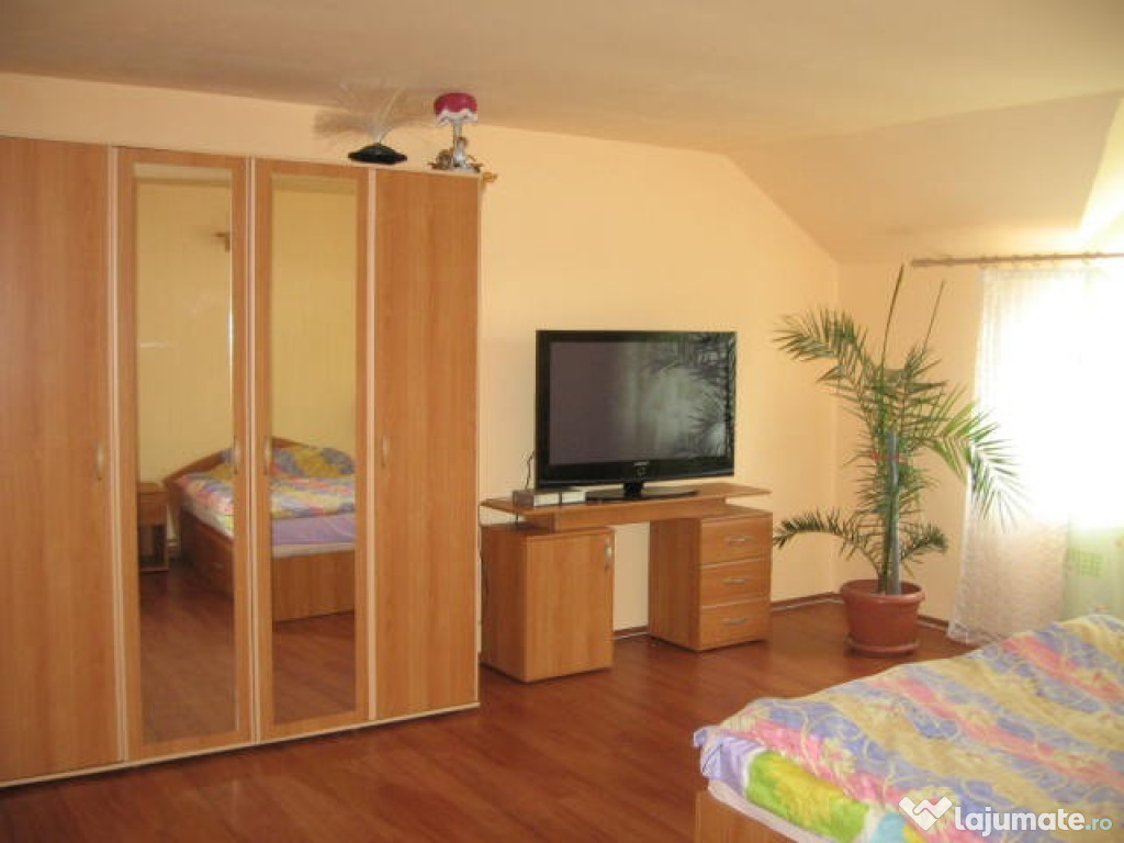 Spatiu comercial Ribita central