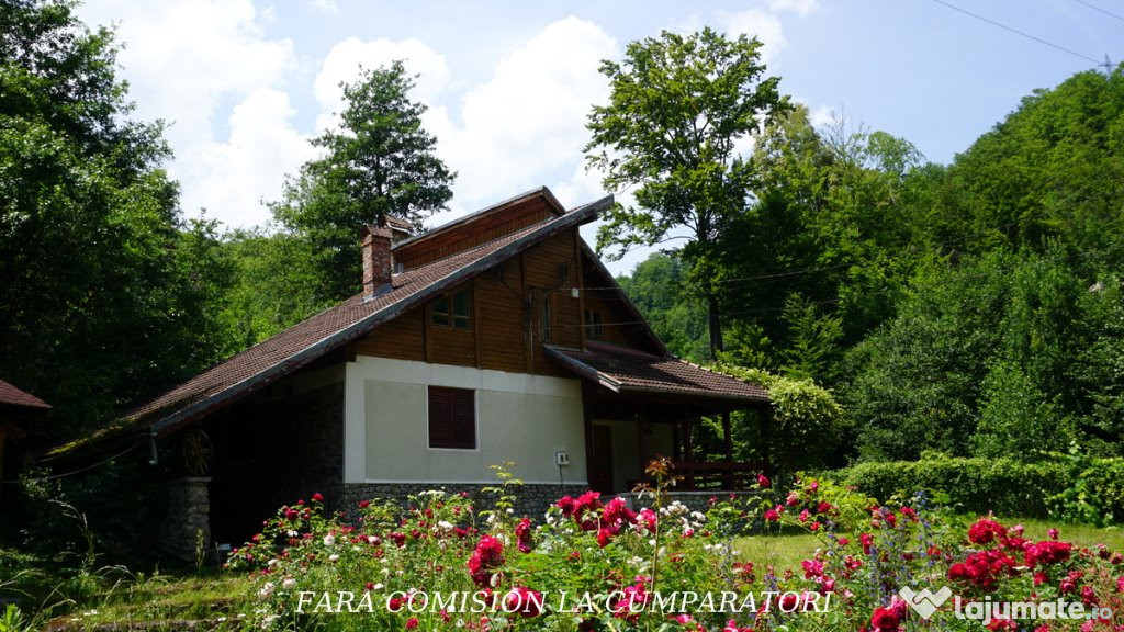 Casa de Vacanta - Valea Lotrului Malaia, Valcea