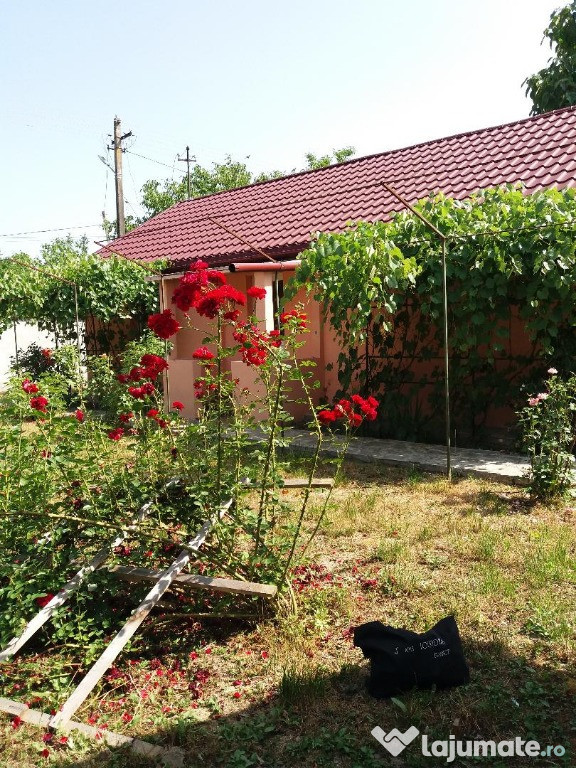 Casa Hatcarau, 33 km de Bucuresti