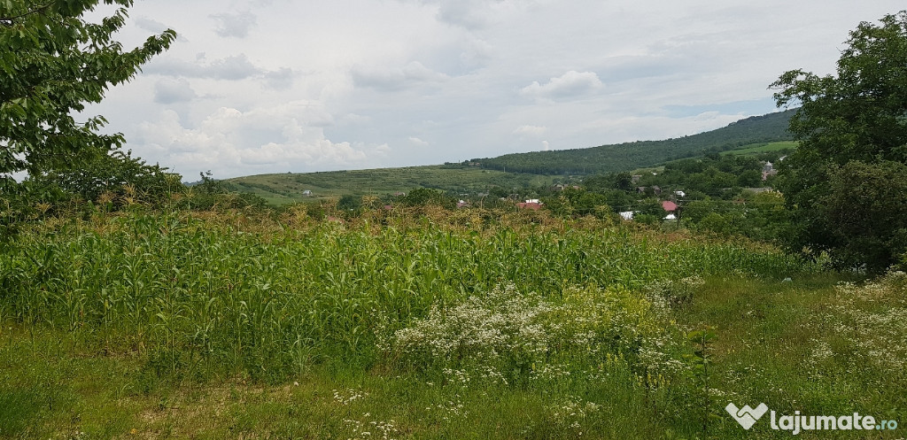 Teren intravilan 5400 m2, ultracentral