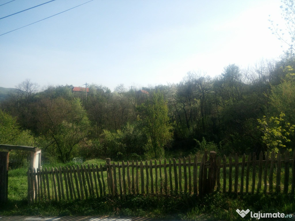 Loc pentru casa cu gradina in comuna Ilovita, Mehedinti