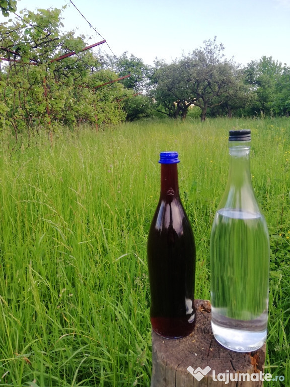 Tuica,palinca,vin