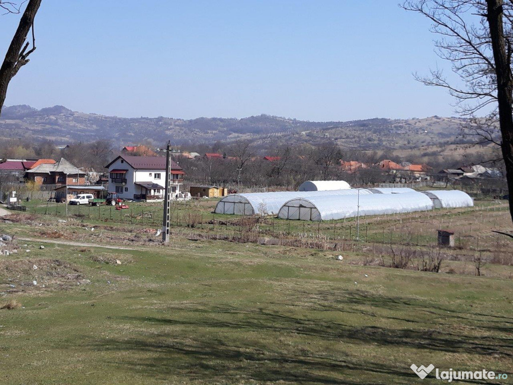 Complex Agricol-Berevoesti AG vest