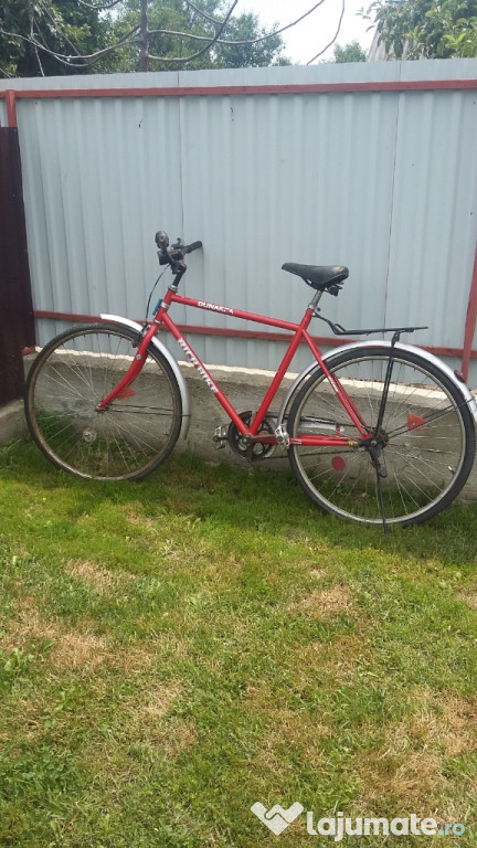 Bicicleta