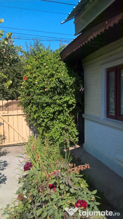 Casa la tara - Bordusani / Ialomita / Acte la zi