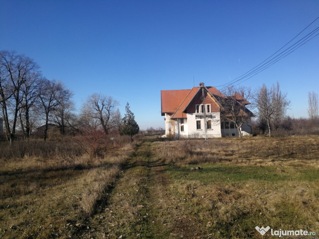 Angajez muncitor necalificat pentru curatenie