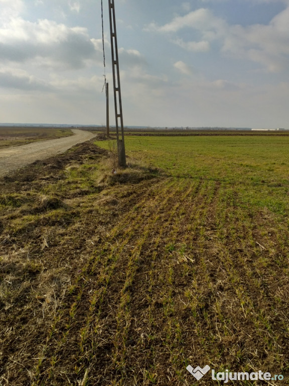 Teren intravilan ,1500mp