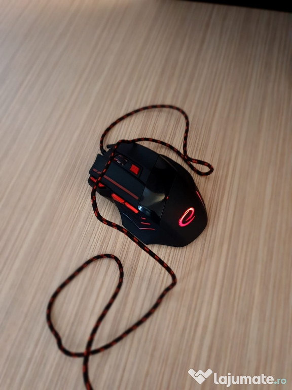 Mouse gaming!