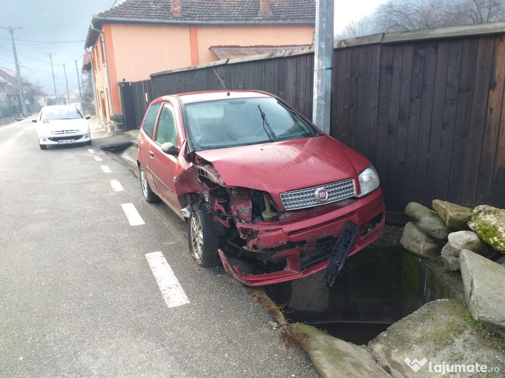 Dezmebrari fiat punto